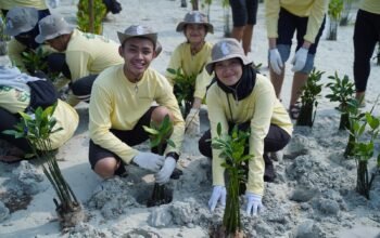 PHI Tanam 1.500 Mangrove dan Lamun di Pulau Pari, Perkuat Ekosistem Pesisir