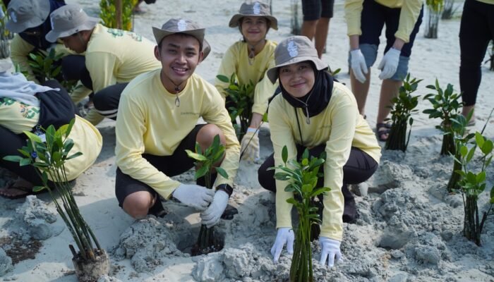 PHI Tanam 1.500 Mangrove dan Lamun di Pulau Pari, Perkuat Ekosistem Pesisir