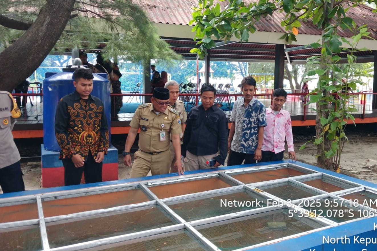 Ketahanan Pangan Mandiri: Pulau Kelapa Manfaatkan Hidroponik & Pembibitan Ikan