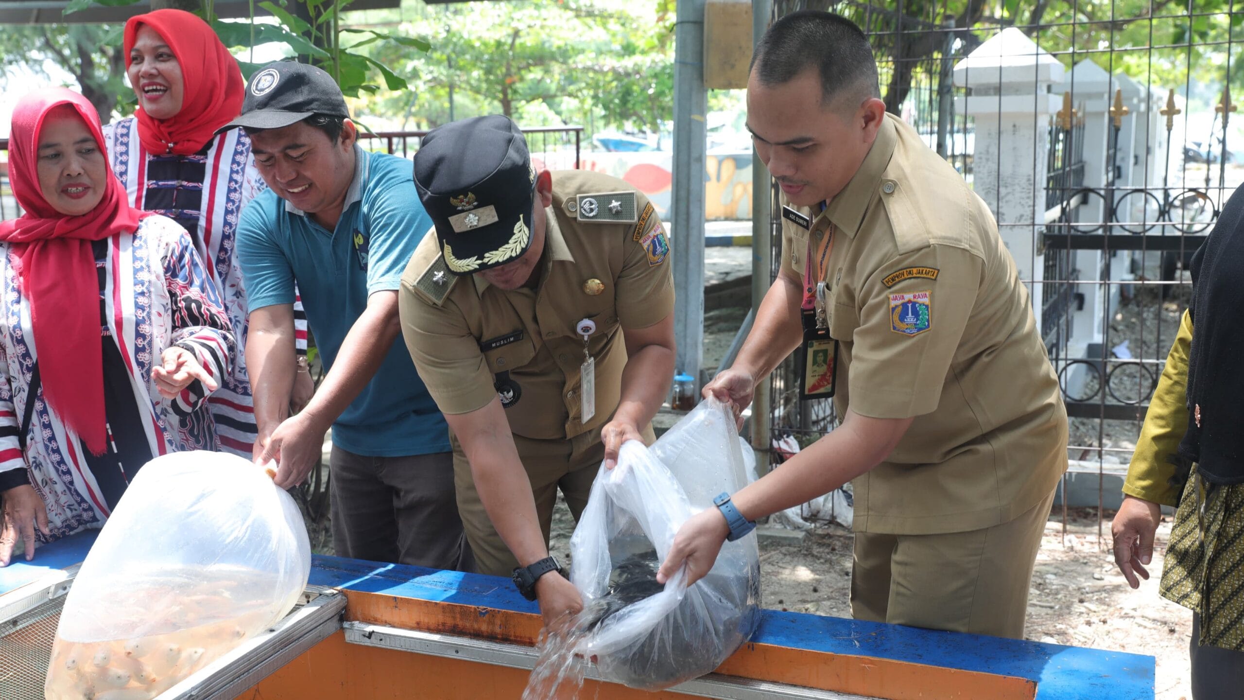 Kolam Gizi RPTRA Nyiur Melambai menerima bantuan lima ratus ikan nila dari Suku Dinas Ketahanan Pangan, Kelautan, dan Perikanan (Sudin KPKP) Kepulauan Seribu.