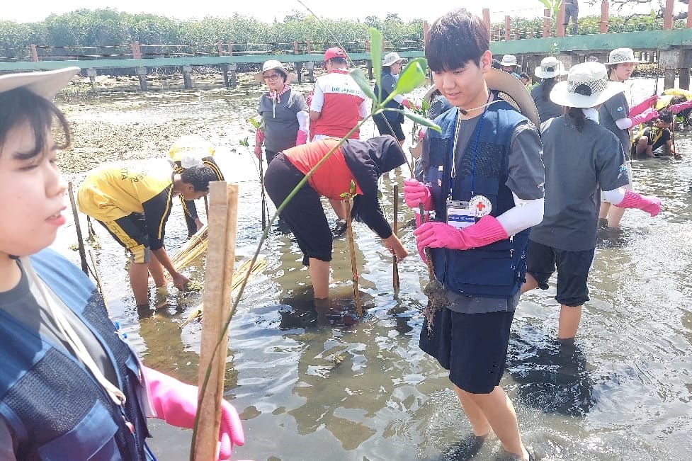 Relawan Palang Merah Korea (Korean Red Cross) melakukan aksi penanaman pohon mangrove di pantai utara Pulau Untung Jawa, Kepulauan Seribu, pada Kamis (20/2/2025).