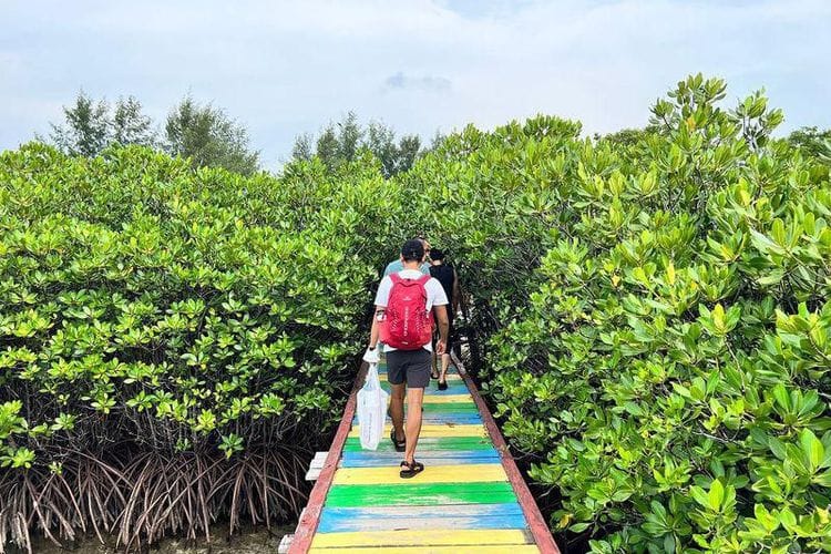 Pokdarwis Usulkan Jembatan Tracking di Hutan Mangrove Pulau Harapan