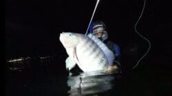 Nelayan di Kepulauan Seribu kini banyak yang beralih dari nelayan pancing menjadi nelayan tembak atau spearfishing. (dok. google image)