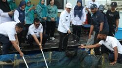 Kabupaten Kepulauan Seribu mencatat hasil panen 700 ekor kerapu cantang dalam Panen Raya Serentak yang digelar Pemprov DKI Jakarta.