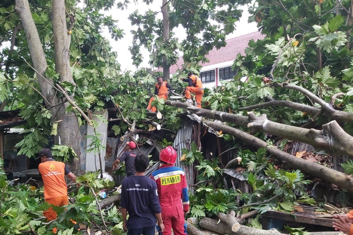 Kelurahan Pulau Tidung bergerak cepat untuk memberikan bantuan kepada warga terdampak.