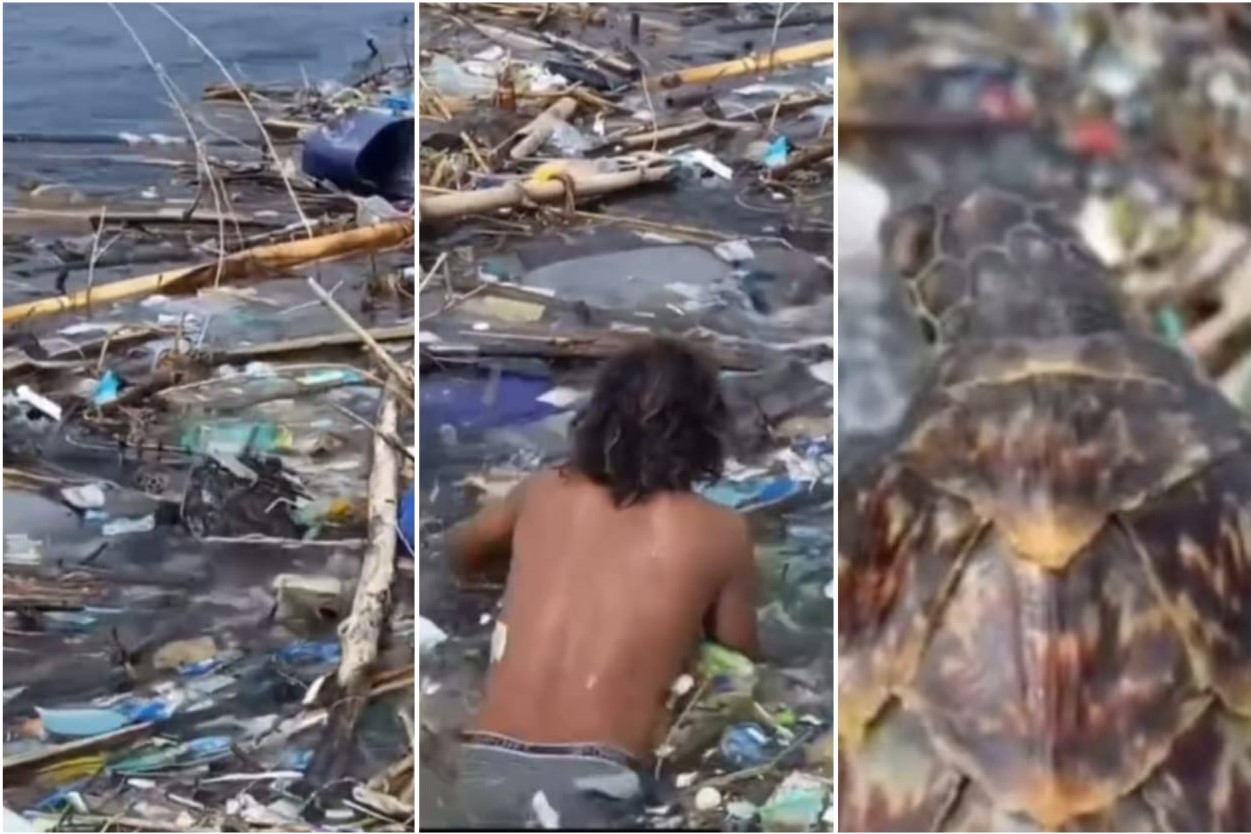 Aksi nelayan menyelamatkan penyu yang terjebak sampah di laut. 📷 Istimewa