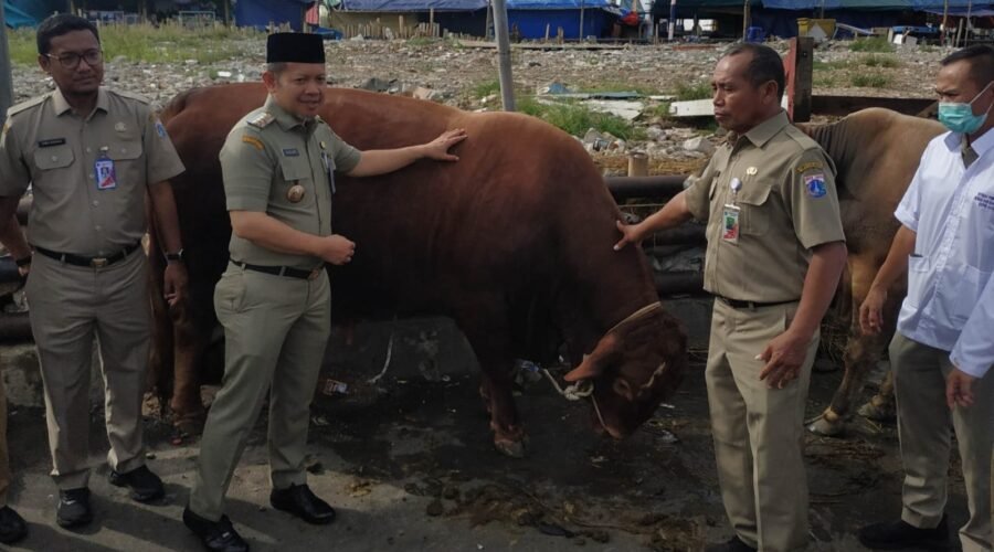 Jelang Iduladha 1447 H, 46 Hewan Kurban ‘Serbuan’ Pulau Penduduk di Kepulauan Seribu