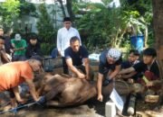 Rayakan Iduladha 1447 H, Pemkab Kepulauan Seribu Distribusikan 250+ Bongsang Daging Kurban