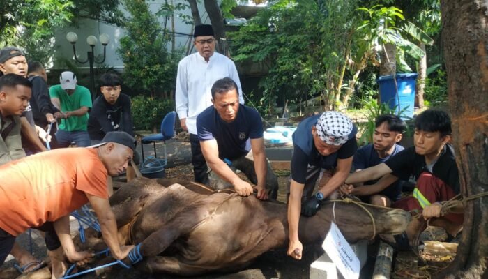 Rayakan Iduladha 1447 H, Pemkab Kepulauan Seribu Distribusikan 250+ Bongsang Daging Kurban