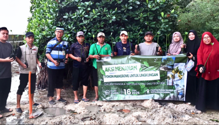 Gunakan Pendekatan Ekoteologi, Kemenag Kepulauan Seribu Tanam Mangrove di Pulau Sabira