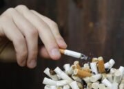 Ilegal, Bea Cukai Buru Peredaran Rokok Polos di Kepulauan Seribu