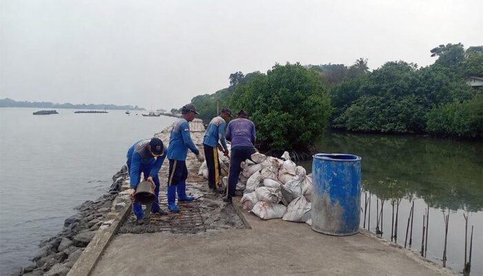 Perkuat Infrastruktur Pesisir, Pengecoran Tanggul Kubus Masif Pulau Untung Jawa Capai 57 Persen
