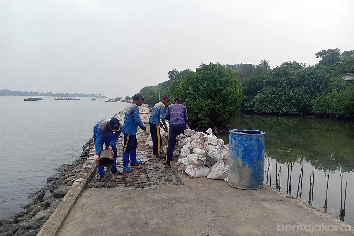 Petugas Pasukan Biru Sudin SDA Kepulauan Seribu melakukan pengecoran struktural dalam proyek pemeliharaan tanggul kubus masif di kawasan Dermaga RT 01/01, Pulau Untung Jawa, Senin (29/06/2026). Kegiatan ini ditargetkan sepanjang 300 meter untuk memperkuat kawasan pesisir dari abrasi sekaligus menjadi area publik yang rapi dan estetik. (Foto: Beritajakarta)
