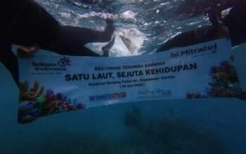 Lewat Program BISA Biru, 2.000 Fragmen Terumbu Karang Ditanam di Pulau Pramuka