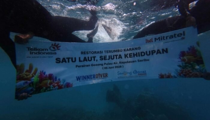 Lewat Program BISA Biru, 2.000 Fragmen Terumbu Karang Ditanam di Pulau Pramuka