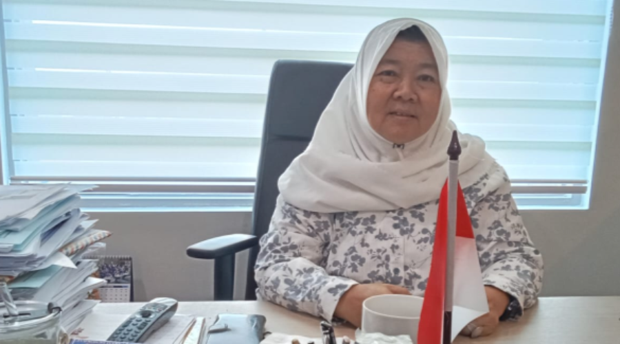 Anggota DPRD DKI Jakarta, Neneng Hasanah, meminta Dinas Perhubungan DKI Jakarta melakukan evaluasi menyeluruh terhadap pelayanan kapal menuju Kepulauan Seribu, mulai dari sistem tiket hingga pengaturan rute armada. Foto: Dok. DPRD DKI Jakarta.