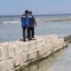 Cegah Abrasi, 70 Meter Tanggul Pantai di Pulau Kelapa Ditinggikan