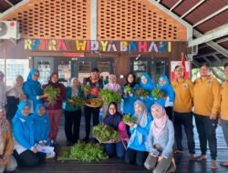 RPTRA Widya Bahari Panen Cabai Selada dan Kangkung