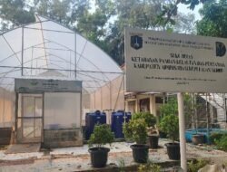 KPKP Bakal Gandeng Sekolah, Siswa Belajar Langsung di Kebun Budidaya