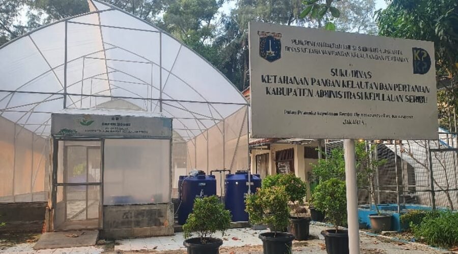 Fasilitas kebun budidaya dan green house KPKP Kepulauan Seribu yang direncanakan menjadi ruang belajar bagi siswa.