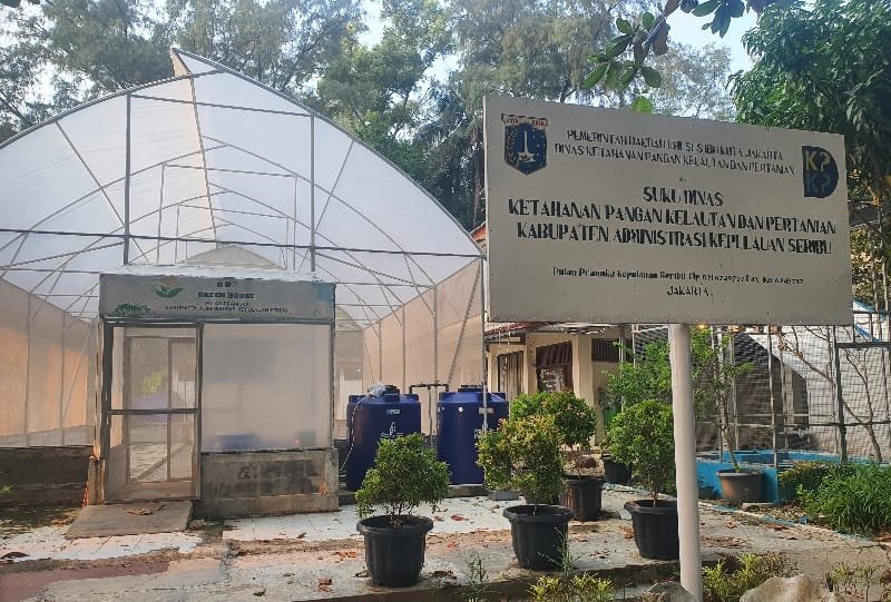 Fasilitas kebun budidaya dan green house KPKP Kepulauan Seribu yang direncanakan menjadi ruang belajar bagi siswa.