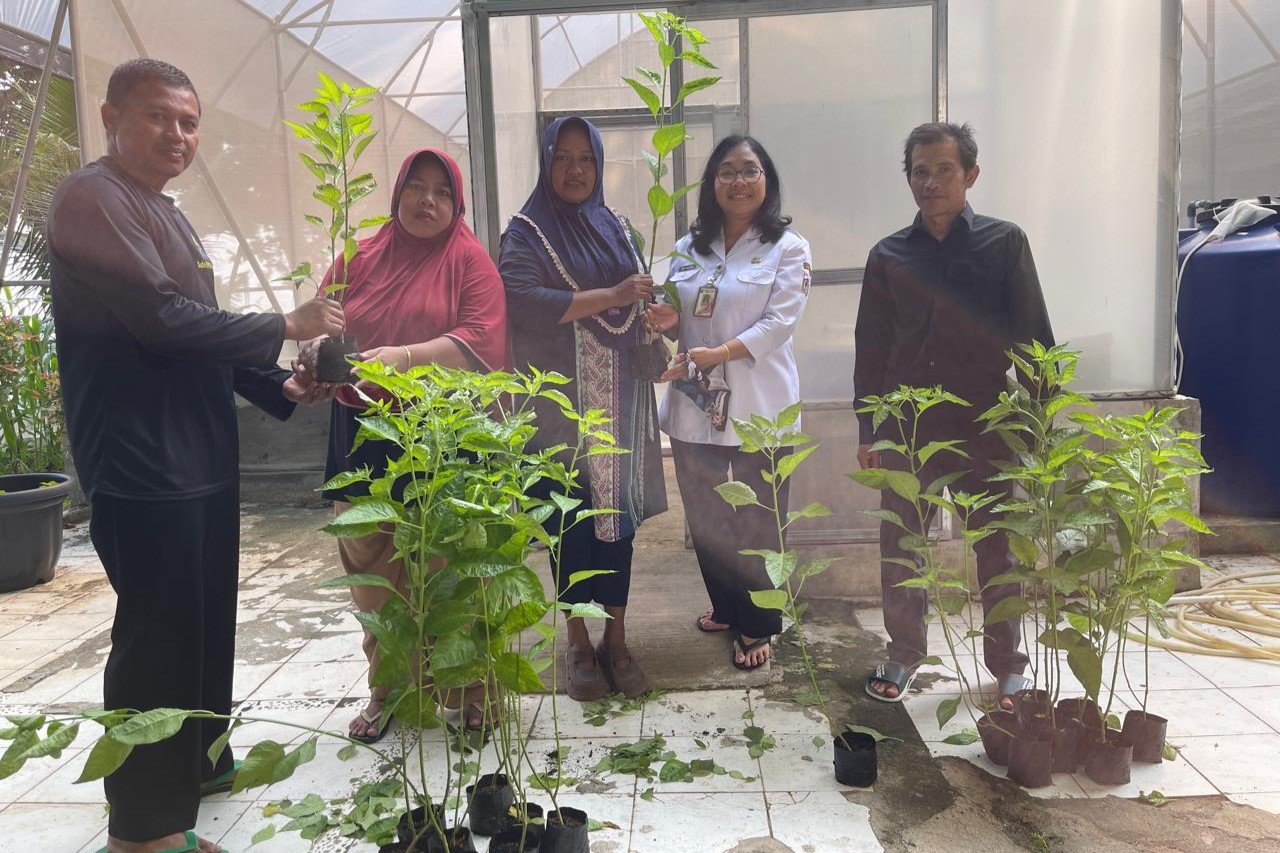 Petugas Sudin KPKP Kepulauan Seribu menyiapkan dan menyerahkan bibit cabai hasil Green House Pramuka kepada masyarakat sebagai bagian dari program ketahanan pangan di wilayah Kepulauan Seribu. Foto: Sudin KPKP Kepulauan Seribu.