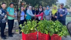Warga menerima bibit cabai gratis hasil produksi Green House Pramuka yang didistribusikan Sudin KPKP Kepulauan Seribu untuk mendukung ketahanan pangan dan pemanfaatan pekarangan rumah. Foto: Sudin KPKP Kepulauan Seribu.