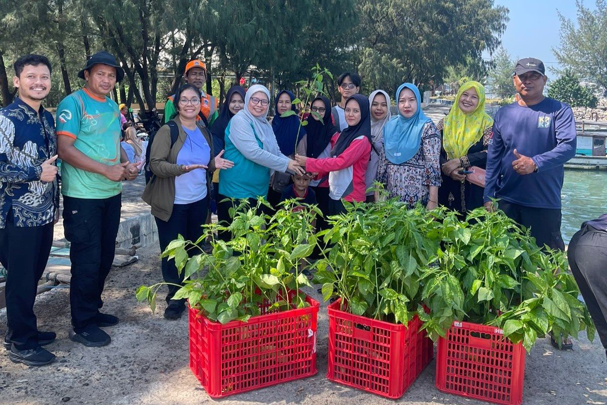 Warga menerima bibit cabai gratis hasil produksi Green House Pramuka yang didistribusikan Sudin KPKP Kepulauan Seribu untuk mendukung ketahanan pangan dan pemanfaatan pekarangan rumah. Foto: Sudin KPKP Kepulauan Seribu.