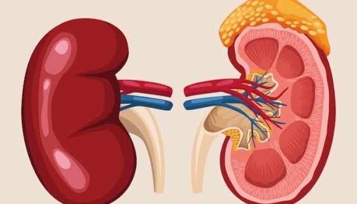Jangan Anggap Sepele, Ini 5 Tanda Awal Penyakit Ginjal yang Sering Tak Disadari