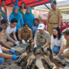 Inovasi Lurah Pulau Untung Jawa Sulap Sampah Organik Jadi Pakan Bebek