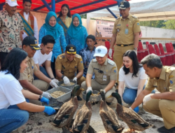 Inovasi Lurah Pulau Untung Jawa Sulap Sampah Organik Jadi Pakan Bebek