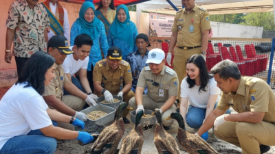 Inovasi Lurah Pulau Untung Jawa Sulap Sampah Organik Jadi Pakan Bebek