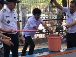 Dari Panen Nila hingga Cabai, Pulau Kelapa Terus Perkuat Ketahanan Pangan