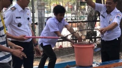 Petugas Kelurahan Kelapa bersama pengelola RPTRA Nyiur Melambai memanen ikan nila hasil budidaya sebagai bagian dari program ketahanan pangan di Kepulauan Seribu. Foto: Kelurahan Pulau Kelapa