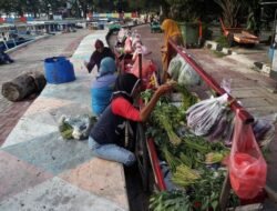 Menunggu Kapal Sayur, Ketika Sepetak Kangkung Menjadi Harapan