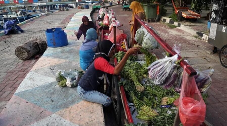 Menunggu Kapal Sayur, Ketika Sepetak Kangkung Menjadi Harapan