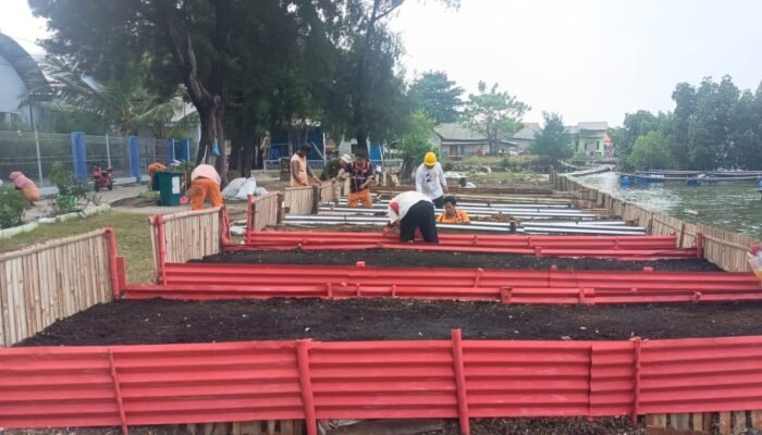 Kelurahan Pulau Panggang Ubah Sampah Organik Jadi Kompos untuk Dukung Urban Farming